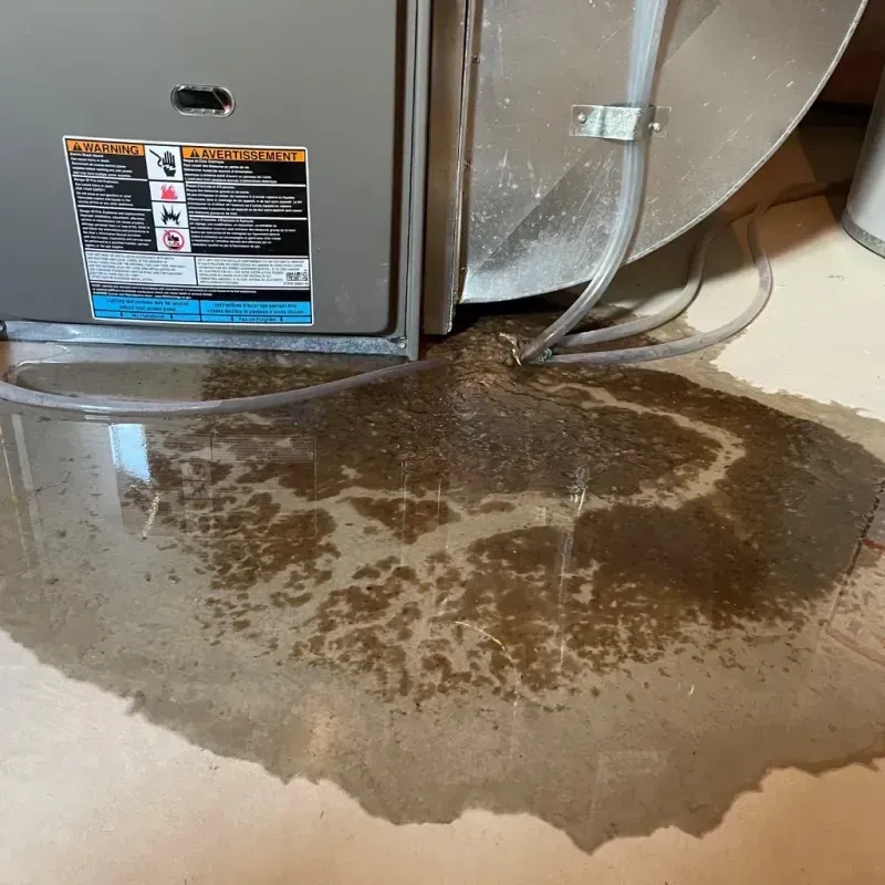 Appliance Leak Cleanup in Moundsville, WV